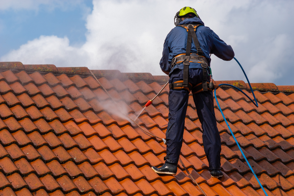 Roof Cleaning Services